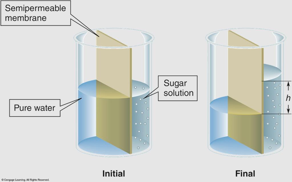 Freezing Point Depression The freezing point of a solution will always be lower than the freezing point of the pure solvent.