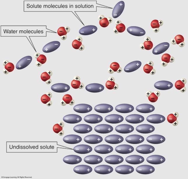 An example of the dissolving (solution) process for an ionic solute in water: