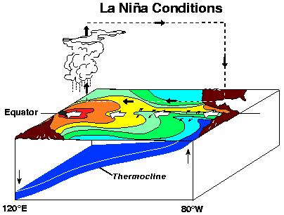 La Nina? (cold) Trade winds strengthen SST decrease in E.