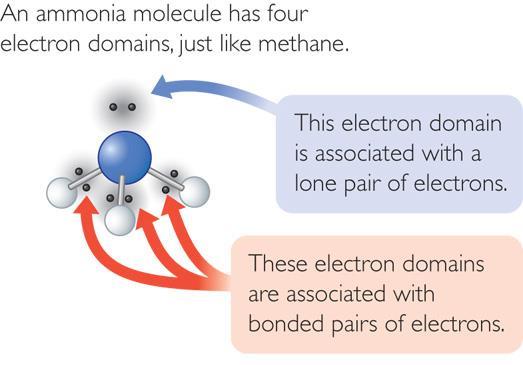the three hydrogen atoms are repelled by the electron lone pair
