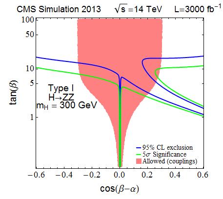 Precision Higgs Physics with HL-LHC FTR-13-004 Upgrade studies for muon
