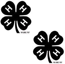 Bring your project to the 4-H Fair and lots of people will be able to see what you have done. You also get a ribbon made just for Mini 4-Hers.