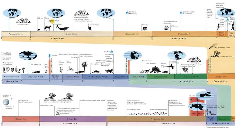 Evolution of Earth and Life