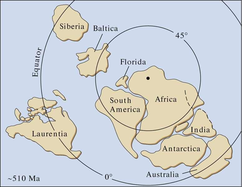 Paleozoic Era From Rodinia to Pangaea Distribution of continents during the Cambrian; about 510 mya Passive margin basin on the east coast of