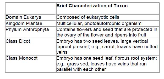 Flowering Plant Structure Introduction A flowering plant will have all the basic characteristics as discussed above.