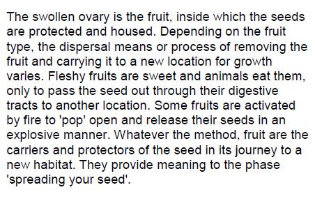 Once the seed is released, it is still protected by its outer shell or jacket.