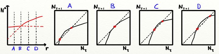 Bifurcations with Λ = +1 have counterparts in continuous dynamical systems: the time discretization of a continuous system (1): F (N τ ) = N τ + δtf(n τ ) gives F (Nτ ) = 1 + δtf (Nτ ).