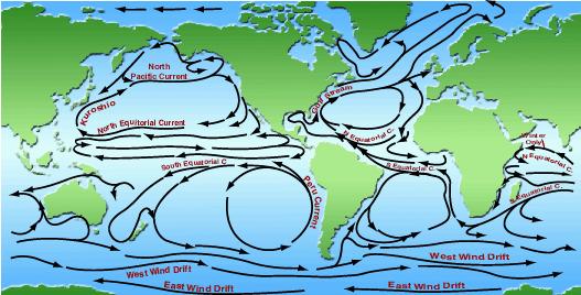 Global Oceanic Circulation Wind drives water, resulting in global oceanic circulation.