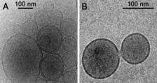 Membranes Microspheres Form when proteinoids are