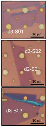How about MoS 2? A different van der Waals material Monolayer TMDs are the thinnest material known that have bandgaps.