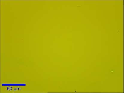 Large Area TMD synthesis Uniform Single Layer MoS 2 film synthesized up to 1 cm x 1 cm (a) (b) E 1 2g A 1 g