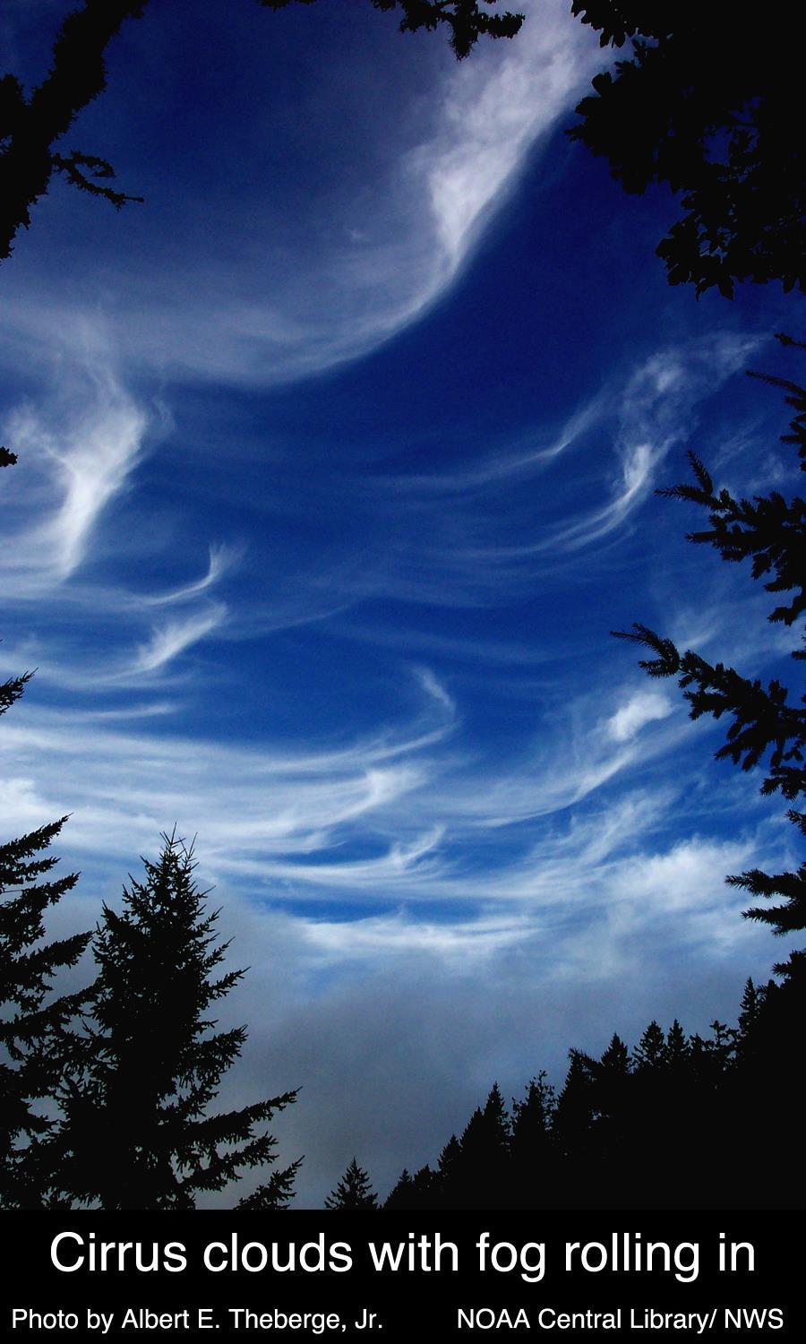 Cloud Shape Cirrus: high, thin, white