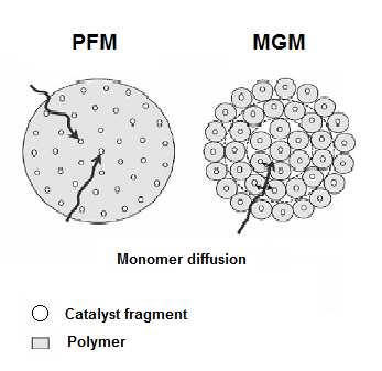 the catalyst fragment in the micro-particles and diffuses through this layer to the active sites on the surface of the fragments, where polymerization eventually takes place.