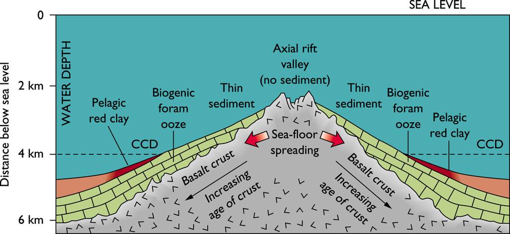 Sediment Distributions are Related to Mid-Ocean Spreading Compare