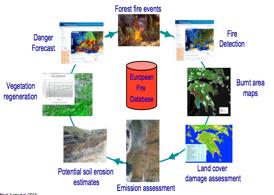 Forest Fires The European Forest Fire Information System (EFFIS) and the Global Wildfire Information System