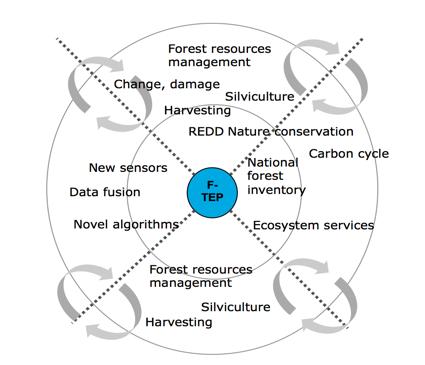 Forestry: Thematic Exploitation Platform One-stop shop for forestry remote sensing services for the academic, public and commercial sectors Flipping the data access paradigm from transferring
