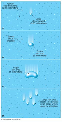 The collisioncoalescence process Precipitation Forms of precipitation Rain and drizzle Rain droplets have at least a 0.5 mm diameter Drizzle droplets have less than a 0.