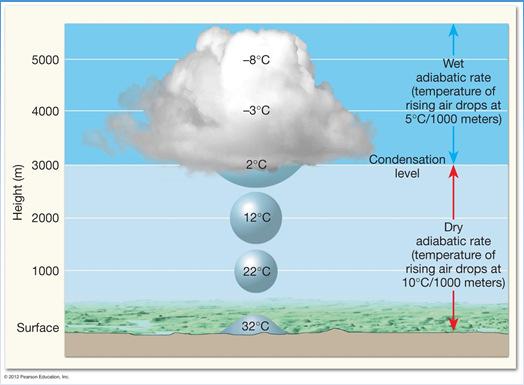 FYI: Adiabatic heating/cooling Adiabatic rates Wet adiabatic rate Commences at condensation level Air has reached the dew point Condensation is occurring and latent heat is being liberated Heat