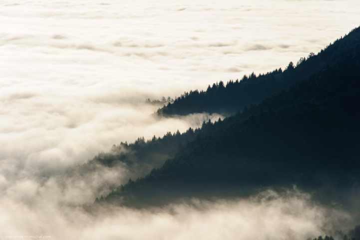 Fog Formation and Types 2.