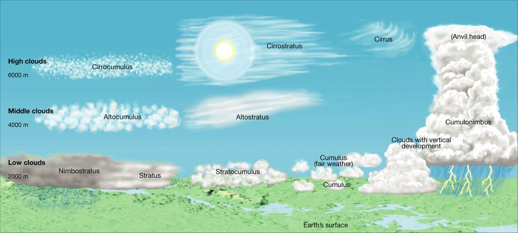 Middle Clouds Altocumulus clouds are composed of rounded masses that differ from cirrocumulus clouds in that altocumulus clouds are larger and denser.