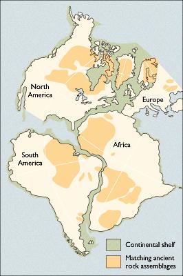 Fit of the Continents 2. Fossil Evidence 3.
