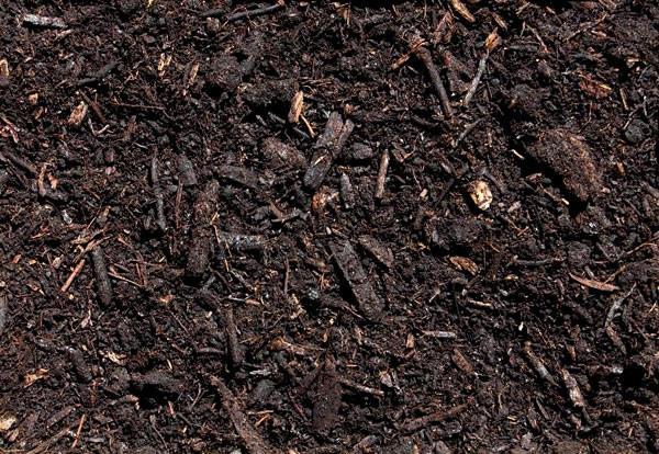 less soil made - organisms plants, worms, ants, bacteria loosen soil; supply nutrients - climate