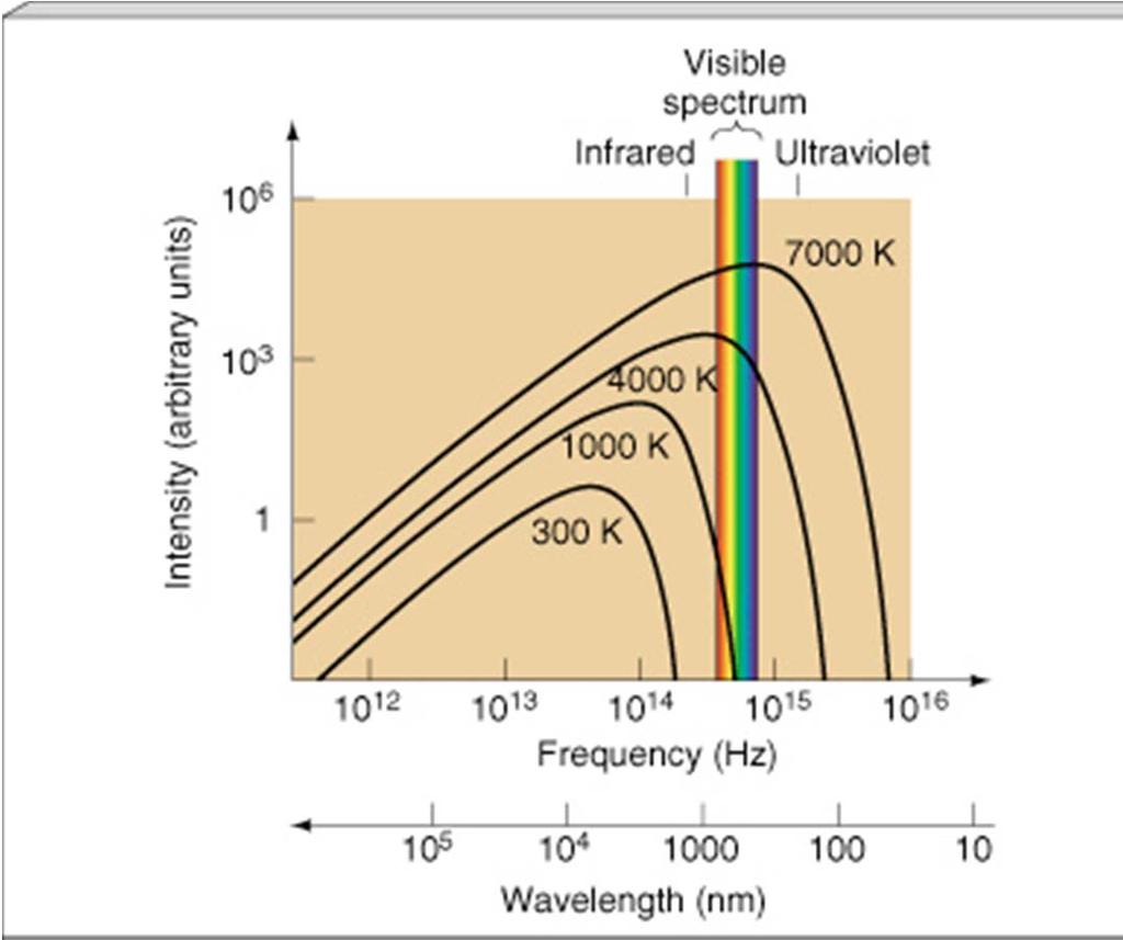 Thermal Radiation Spectrum (intensity vs. wavelength) of thermal radiation. Hotter objects are brighter at all wavelengths. Wien s Law 2.