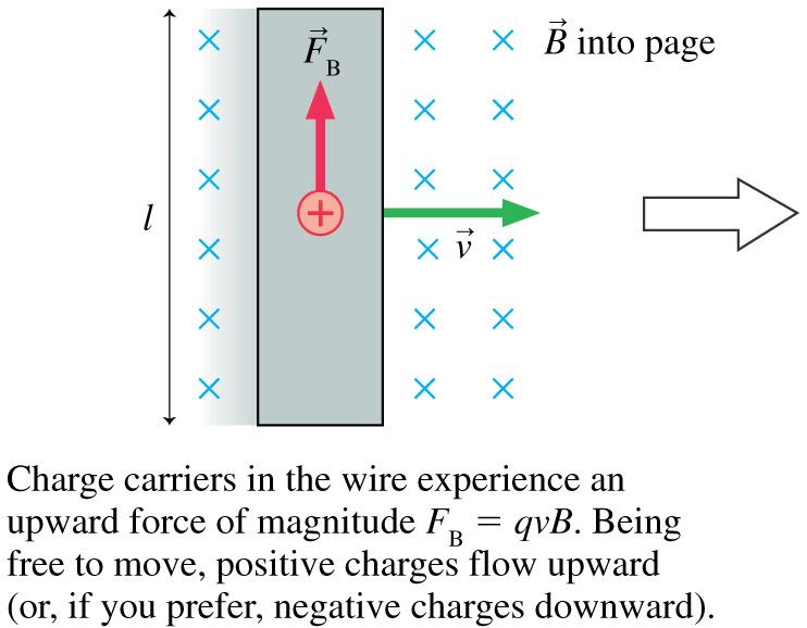 Motional EMF Consider a length l of conductor moving to the right in a magnetic field that