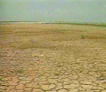 Drought According to Mc Mohan and Diaz Arena (1982), Drought is a period of abnormally dry weather sufficiently for the lack of
