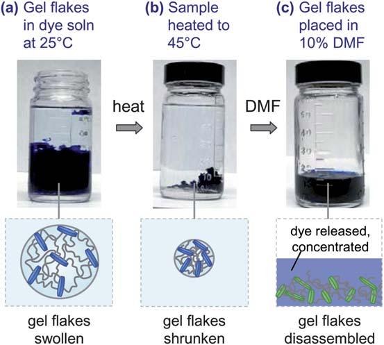 4b, and placed these dye-bearing flakes in an aqueous solution containing 10% DMF (Fig. 5a).