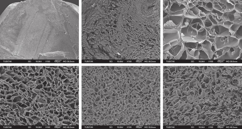 M.V. Dinu et al. / Polymer 48 (2007) 195e204 199 results suggest appearance of pores in the hydrogel matrices prepared at T prep < 6 C. Moreover, Fig.