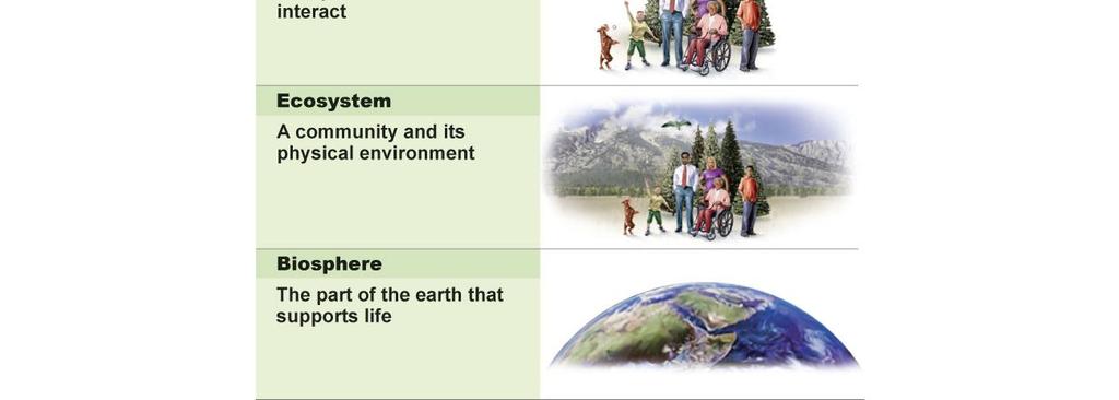 Example = Humans Population = A group of individuals of the same species, living together in the same area Example = Humans living in Napa Community = Populations of all species living together in