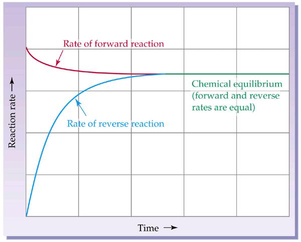 NCEA 2015 Equilibrium Merit Question Question 3(b)(ii): The reaction between ethanoic acid and ethanol is reversible. Ethyl ethanoate and water are the products formed.