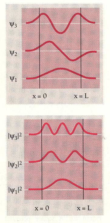 Illustrate the complete wavefunction ψ plot shows: longer