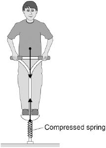 Q3.The figure below shows the forces acting on a child who is balancing on a pogo stick. The child and pogo stick are not moving.