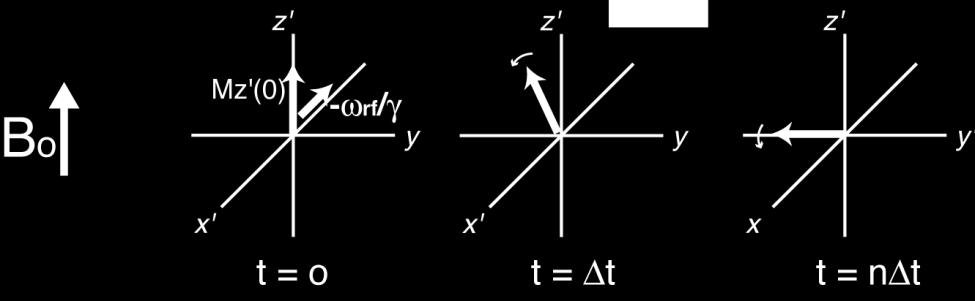 Solution: M x (t) = 0; M y (t) = -M z (0)sinω rf t; M z (t) = M z (0)cosω rf t. The magnetization rotates about x in the y -z plane.