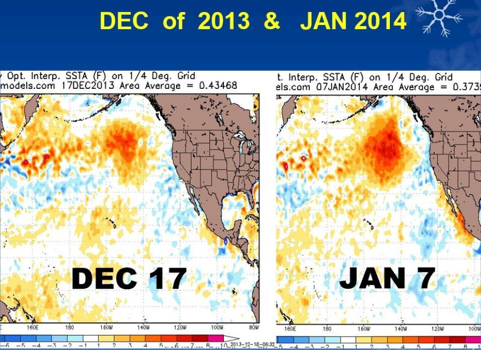 The development of a large pool of warm ocean water temperature anomalies in the northern Pacific.