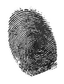 Chemical Fingerprinting Chemical fingerprinting describes the use of a