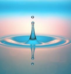 Important Forces for the Flow Field pressure (F P ) inertia (F I ) gravity (F G ) viscosity (F V ) elasticity (F E ) surface tension (F T ) Dimensionless Numbers Reynolds Froude