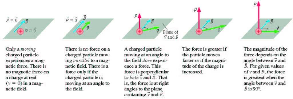 The Force on a Charged Particle