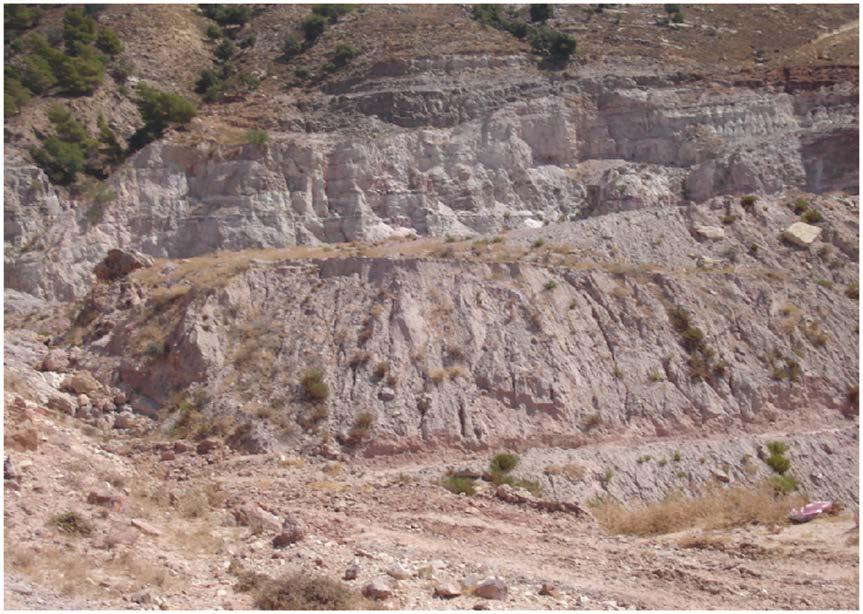 Figure 2. Actual situation of the mahis quarry. government stewardship.