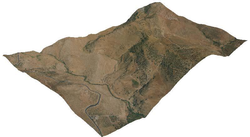 Ortho-photo Figure 4. Ortho-Photo and DTM generated after aerial triangulation process. DTM Figure 5.