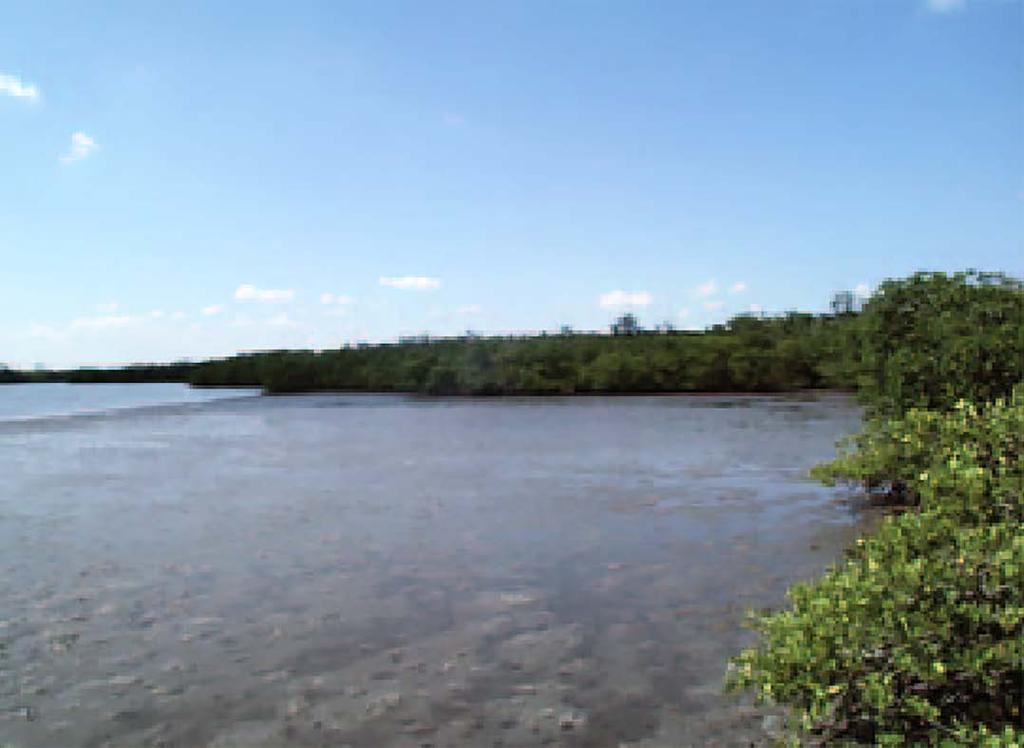 Eocene Green River
