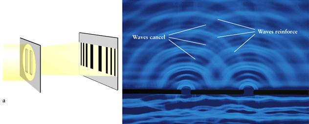 Young's double slit experiment Demonstrates the wave-like