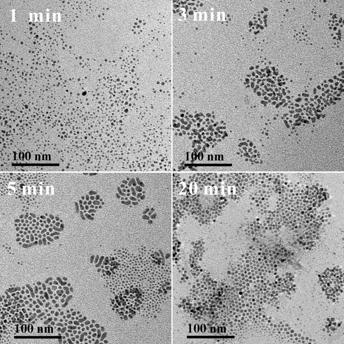 nanoparticles when OAm was used.