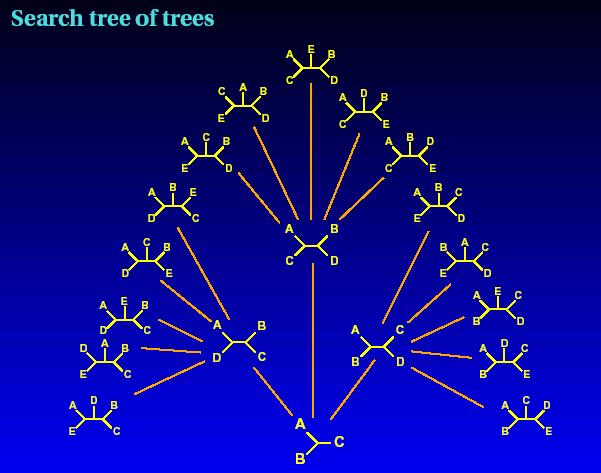 ree search strategies Exact search possible for small n only Branch and Bound Use cleaver rules to avoid some branches of trees up to ~0 () taxa Local search -