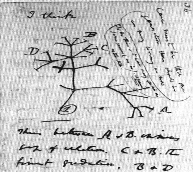 Charles Darwin Origin of Species (1859)