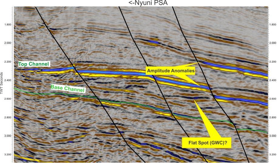Nyuni Deep WaterExploration (BUY 5%) Early Cretaceous channels are clearly visible on legacy seismic with anomalous