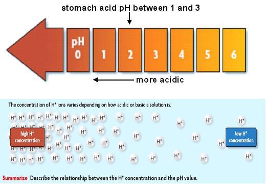C. Some compounds form acids and bases 1.