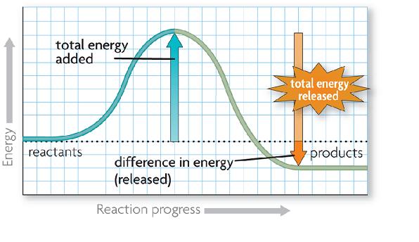 2. Exothermic reactions release more energy than they ab